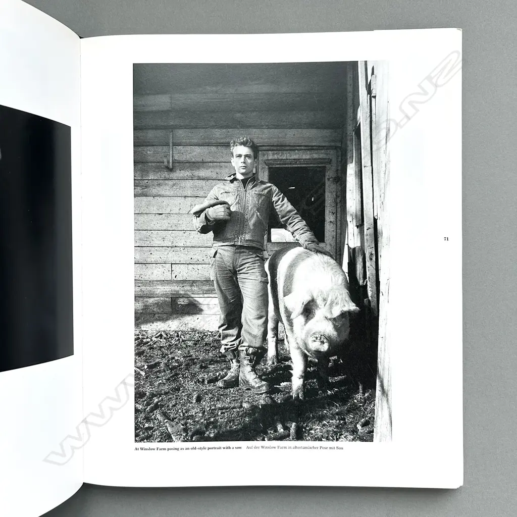 DENNIS STOCK: MADE IN USA Image 1++